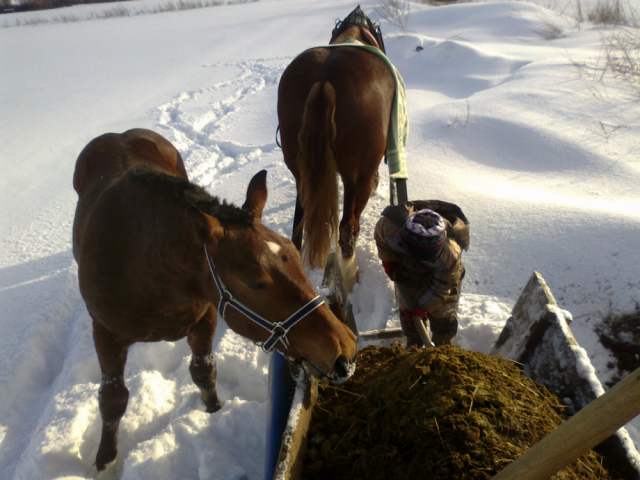 kamienka februar2012 024